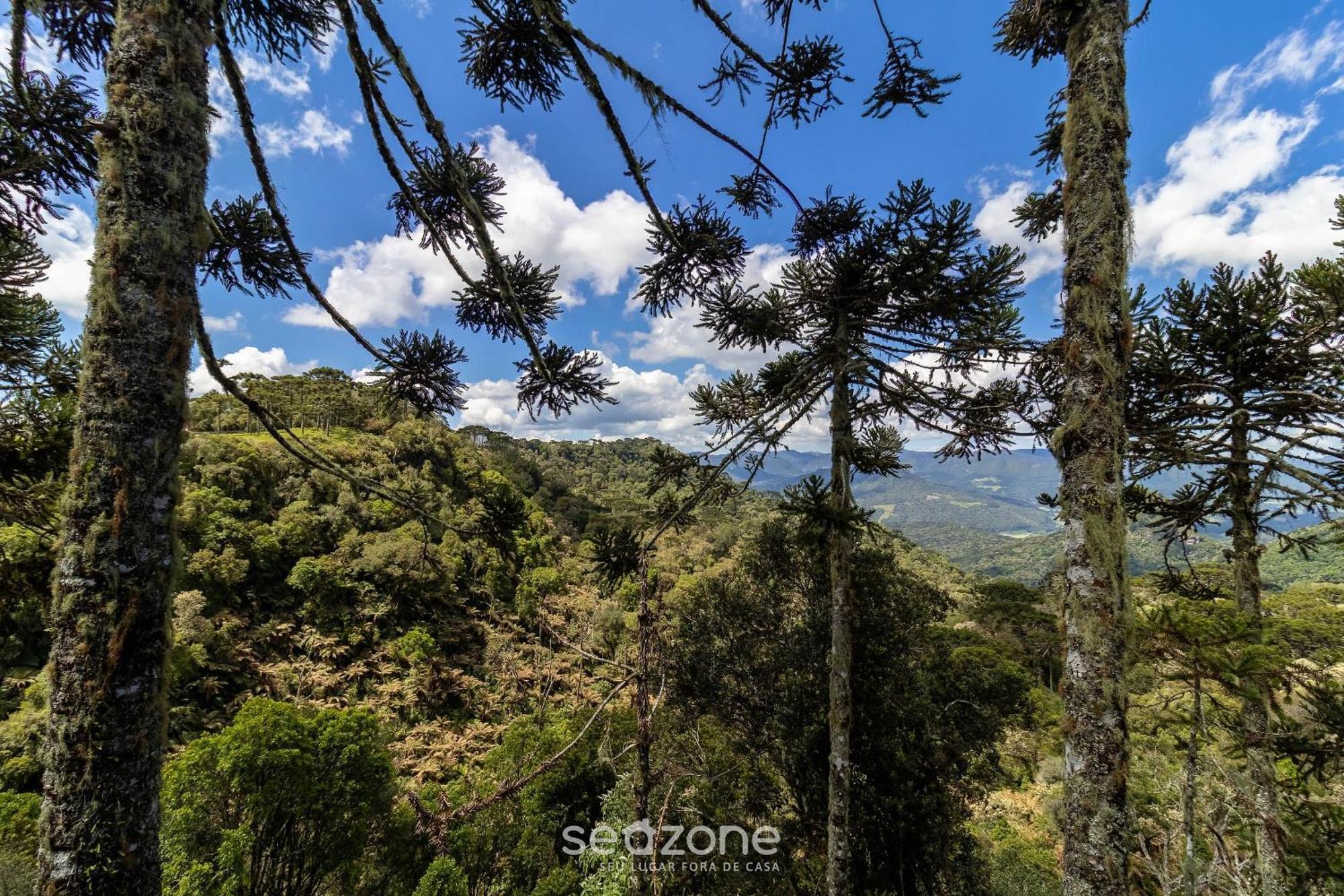 Chales Encantadores Em Urubici/Sc - Par 客房 照片